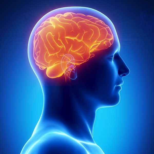 Elettroencefalogramma Pediatrico (dinamico) Holter 24 ore