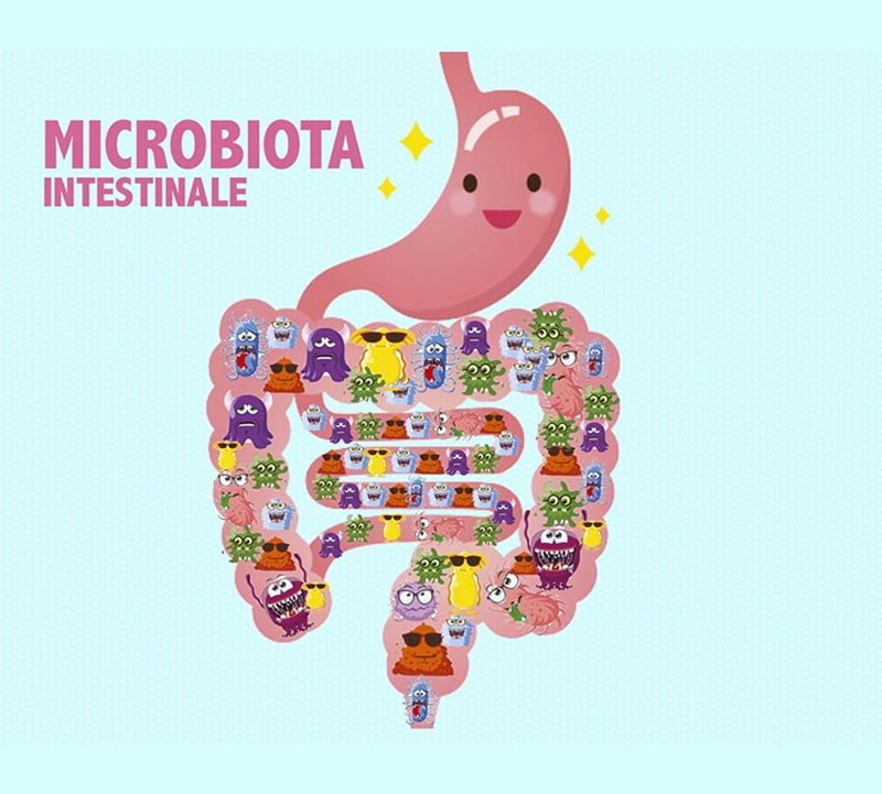 Conosci il Microbiota Intestinale?