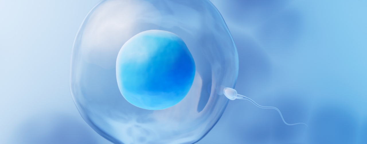 5 modi per aumentare la fertilità maschile