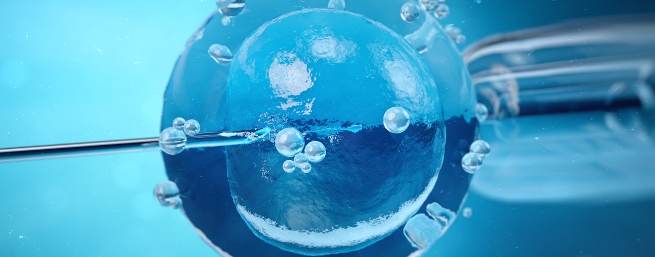 Il protocollo DUOSTIM