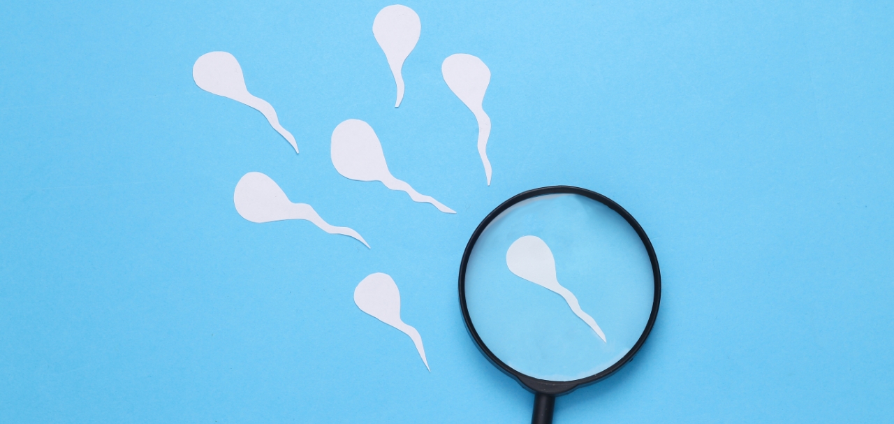 Azoospermia: sintomi, cause e opzioni terapeutiche