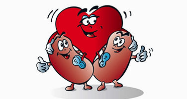 December 2017 - Kidneys in our heart!