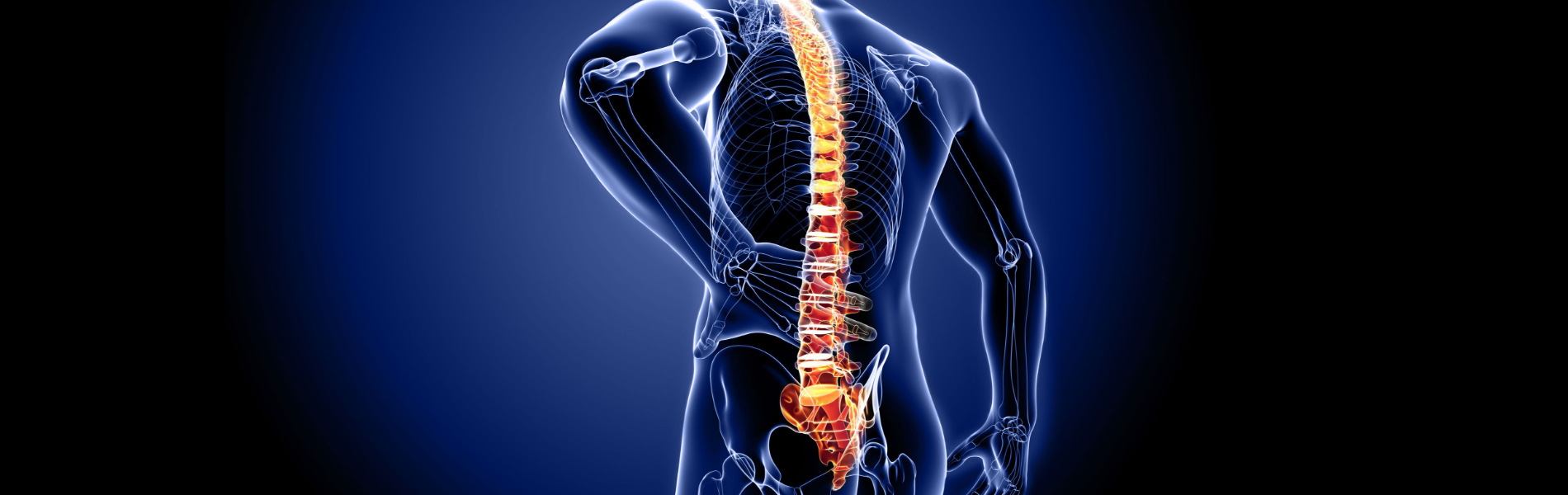 Rieducazione della Scoliosi