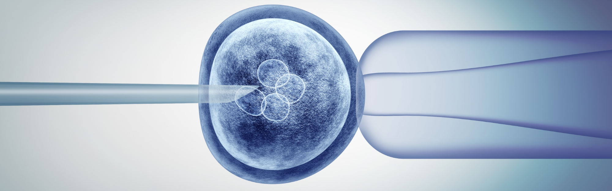 Fecondazione eterologa