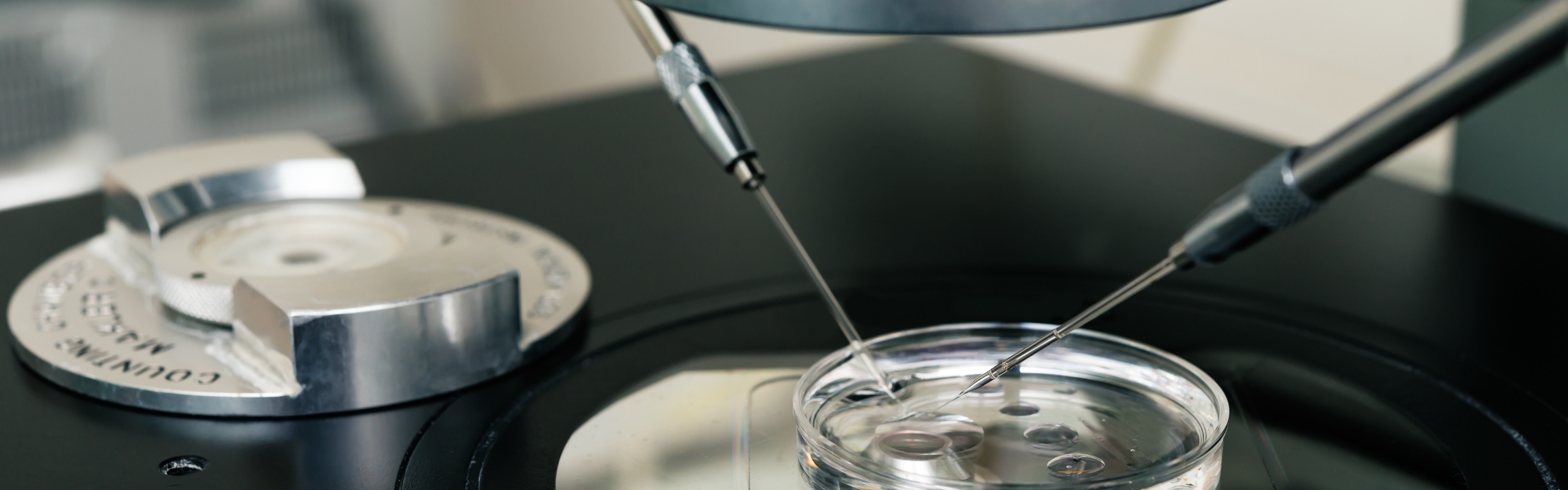 FIVET (Fecondazione in vitro ed Embryo-transfer)