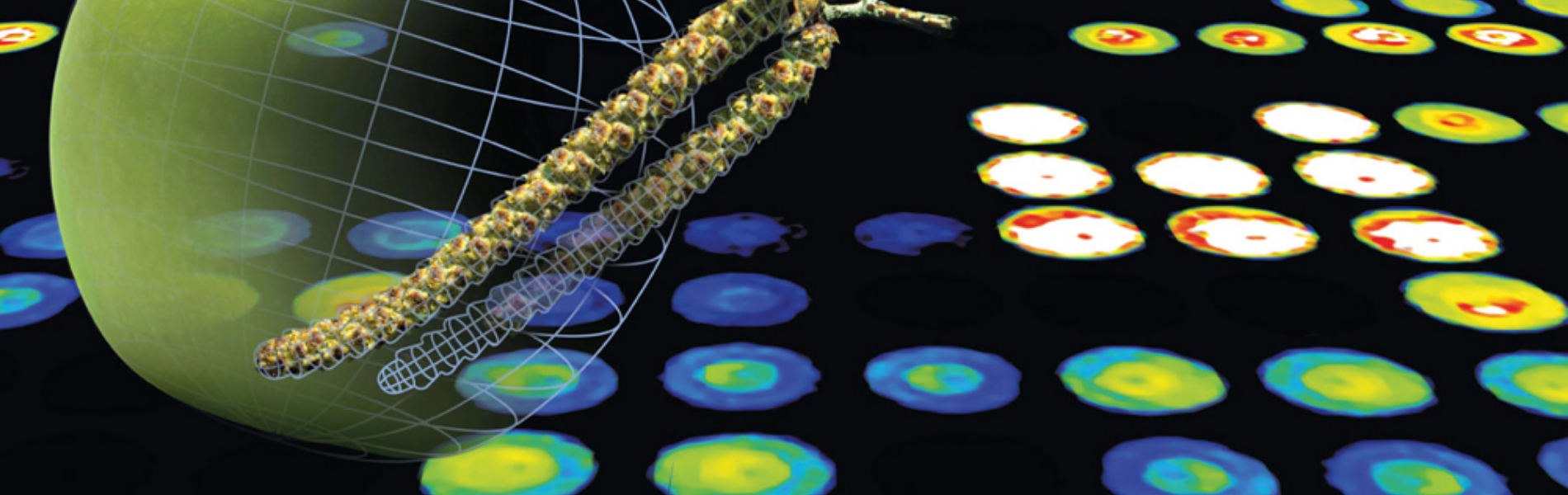 Allergologia Molecolare