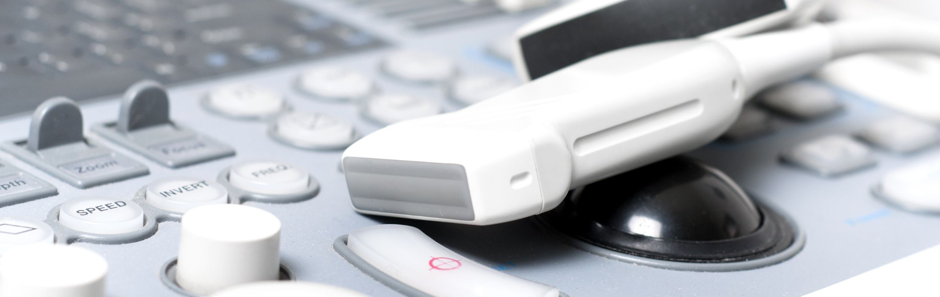 Ecografia Ginecologica