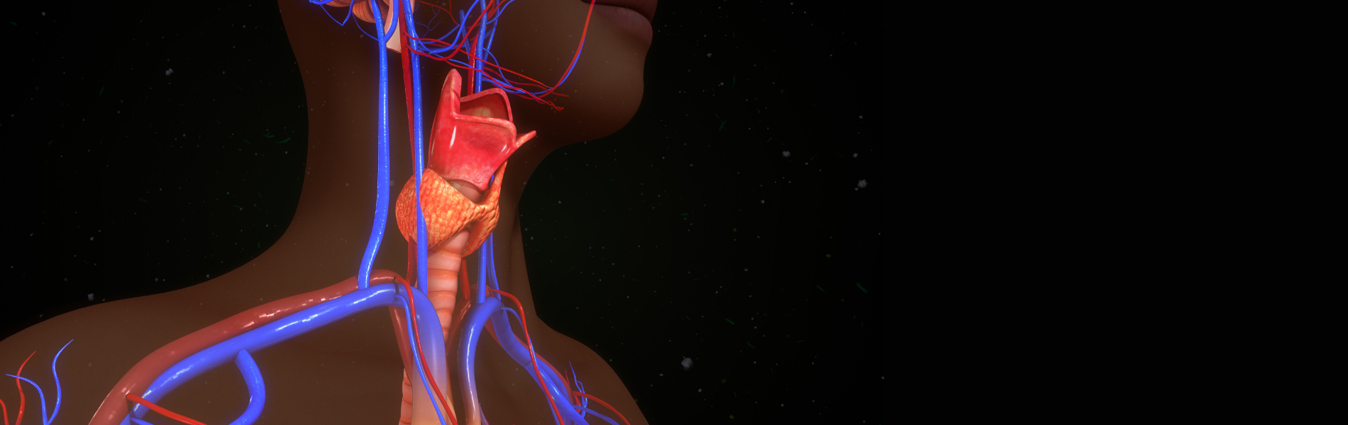 Laringoscopia a Fibre Ottiche