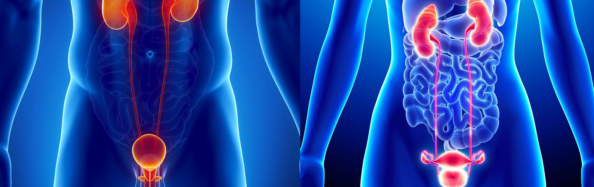 Uroflussometria (UFM)