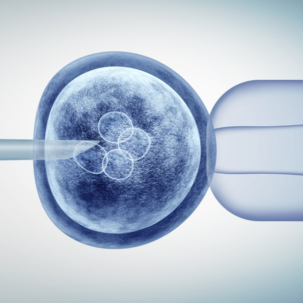 Ecografia e trasferimento dell’embrione